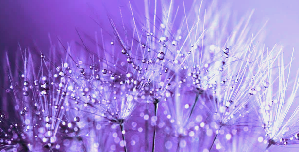 MÉDITATION DU SON PRIMORDIAL