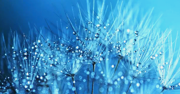 Initiation à la méditation