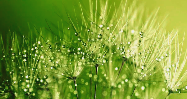 Méditation guidée du soir